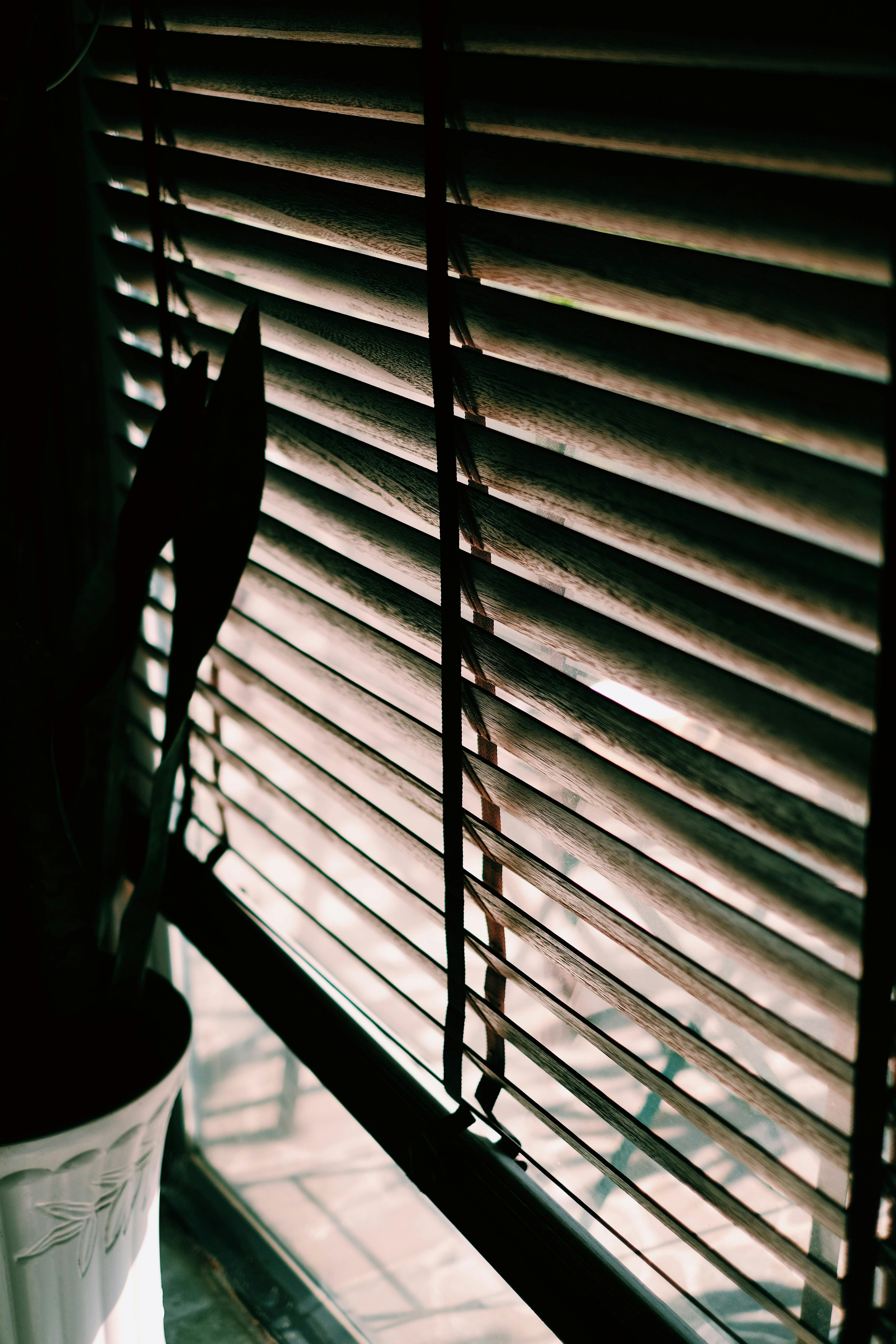 pexels-nguyendesigner-11312207